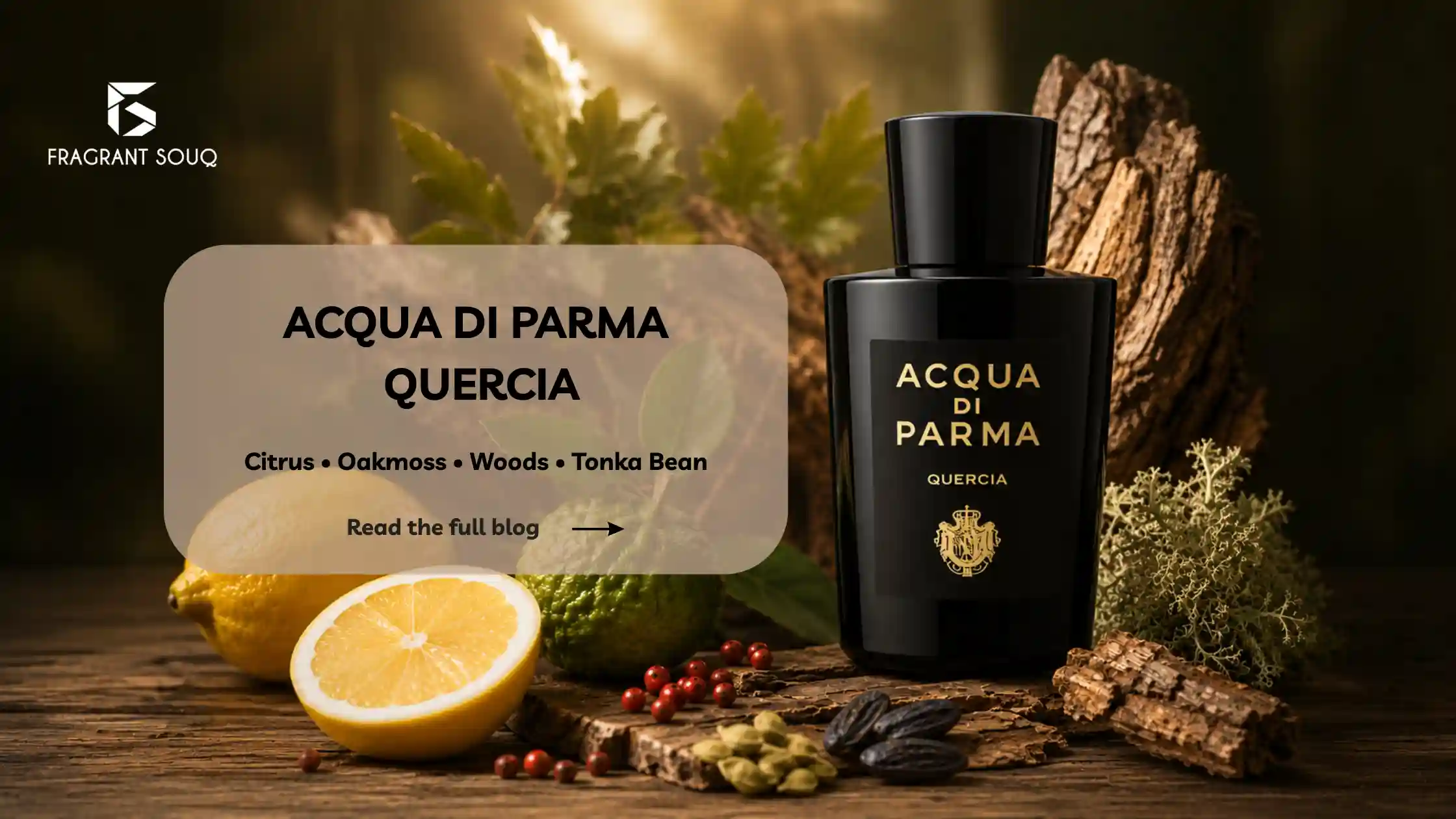 banner-image-acqua-di-parma-quercia-review-fragrant-souq